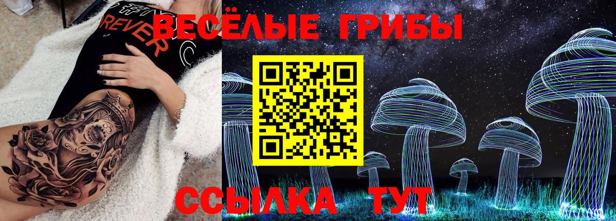 Галлюциногенные грибы Psilocybine cubensis Будённовск